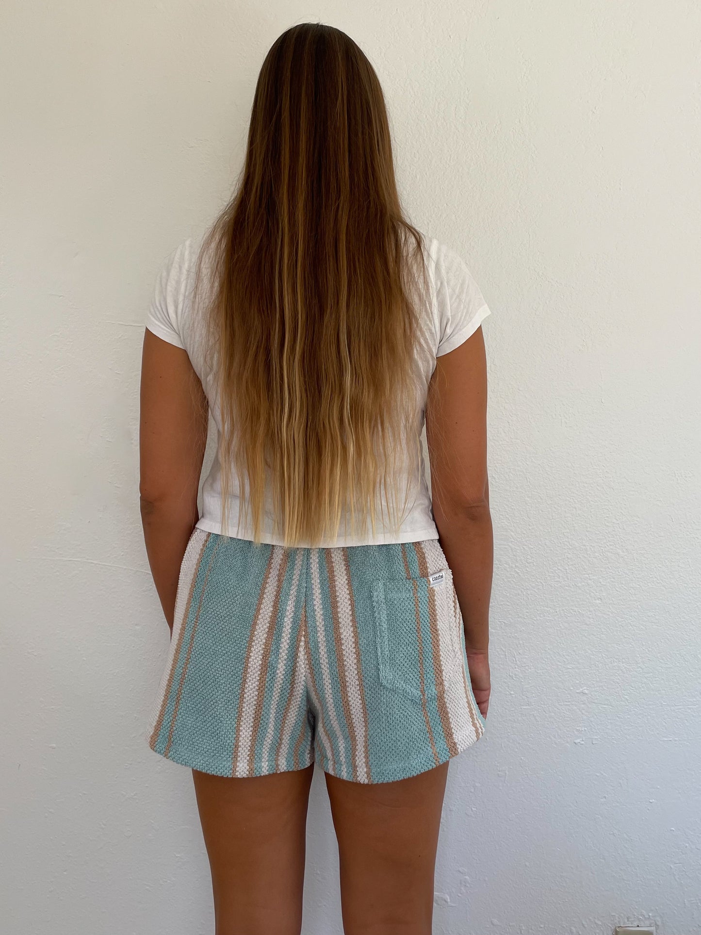 L Desert Stripe Shorts