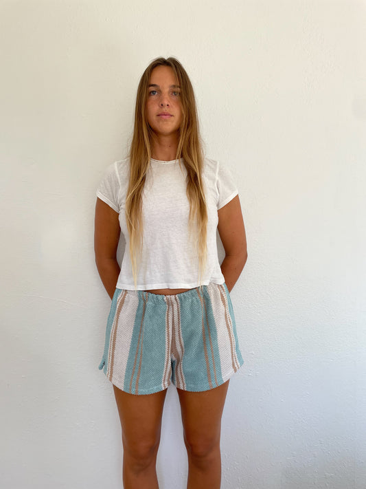 L Desert Stripe Shorts